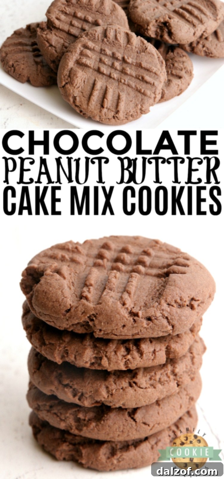 Plate of freshly baked Chocolate Peanut Butter Cake Mix Cookies
