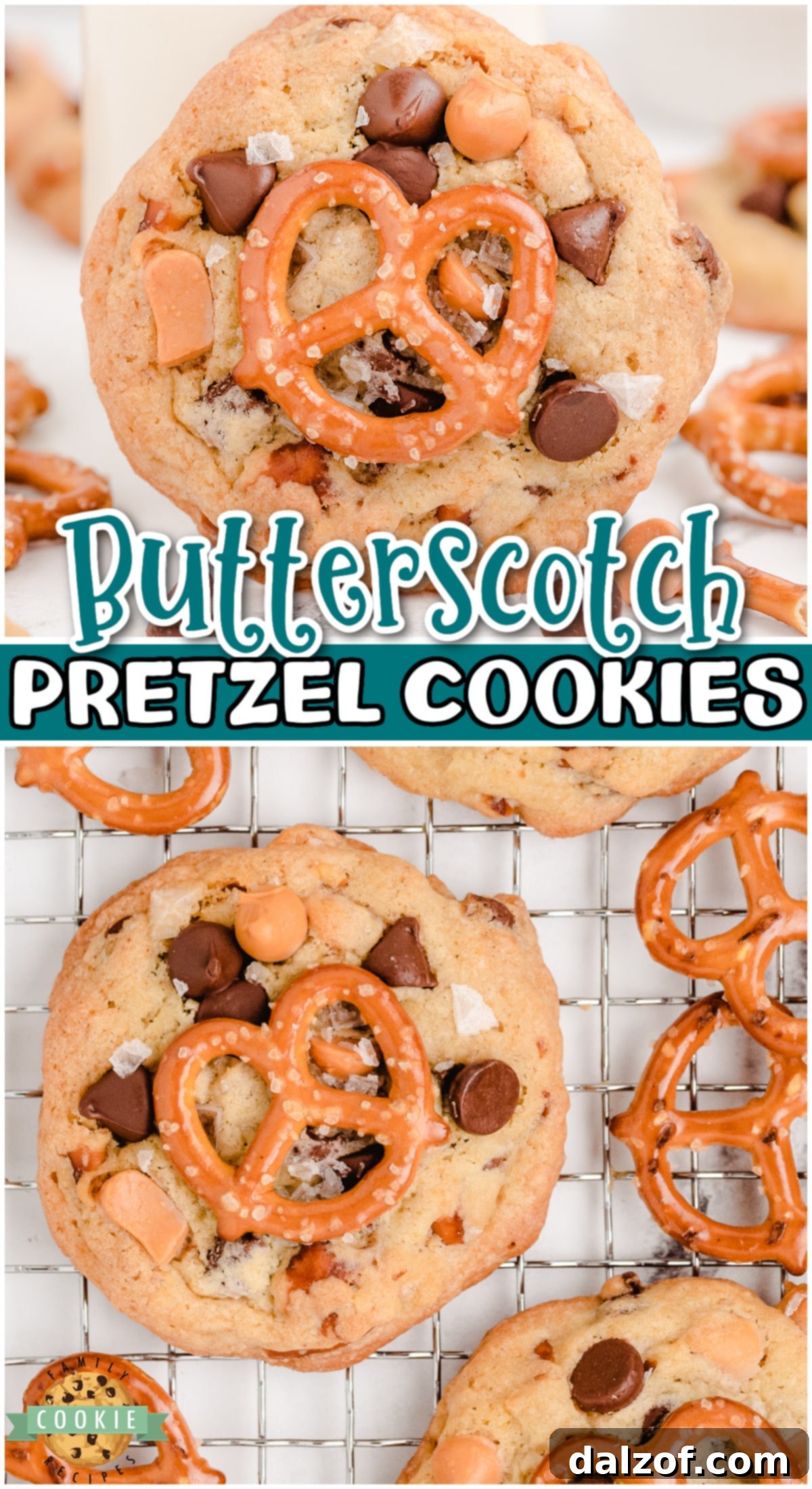 Pin-worthy image of Sea Salt Butterscotch Pretzel Cookies with the caption: sweet and salty cookies that pack a crunch & a whole lot of flavor! With sea salt, pretzels, chocolate + butterscotch chips, these loaded cookies are amazing!