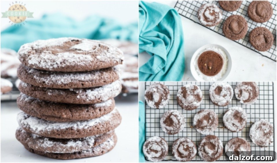 how to make Salted Caramel Chocolate Crinkle Cookies recipe