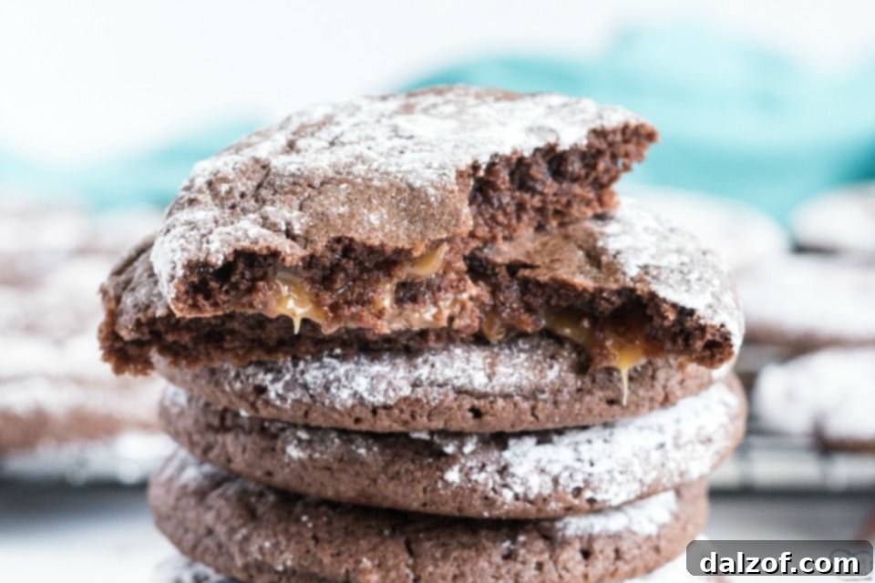 Salted Caramel Chocolate Crinkle Cookies recipe