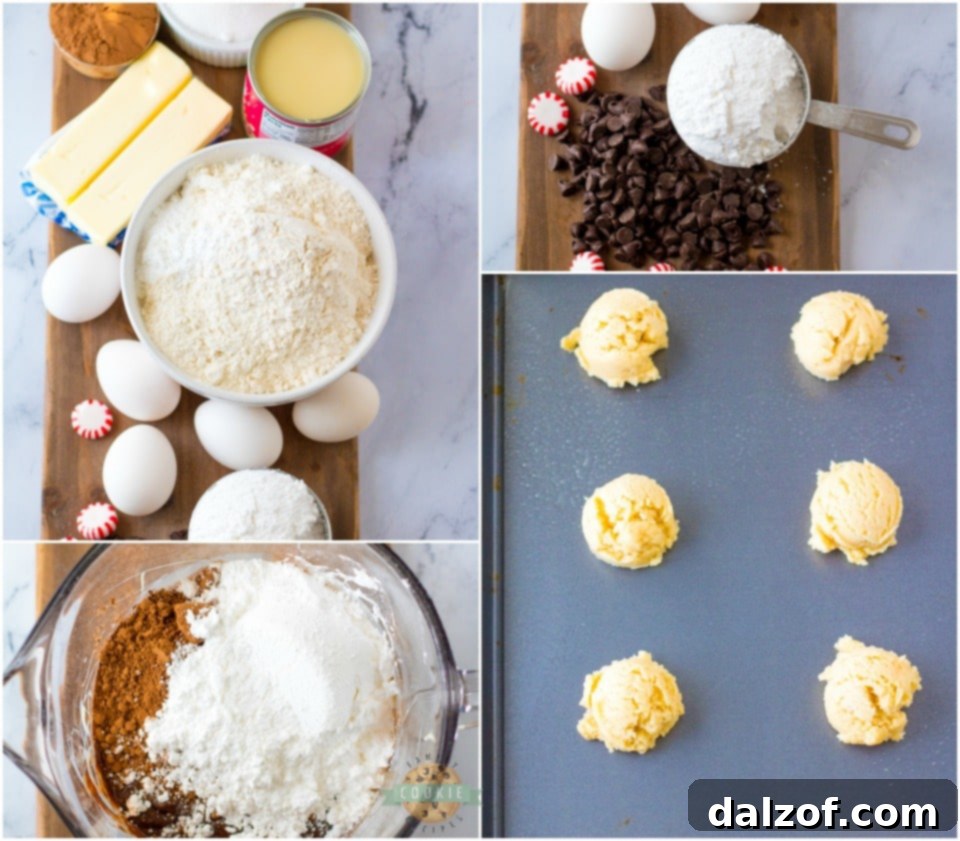 Step-by-step collage on how to make Peppermint Fudge Sugar Cookies