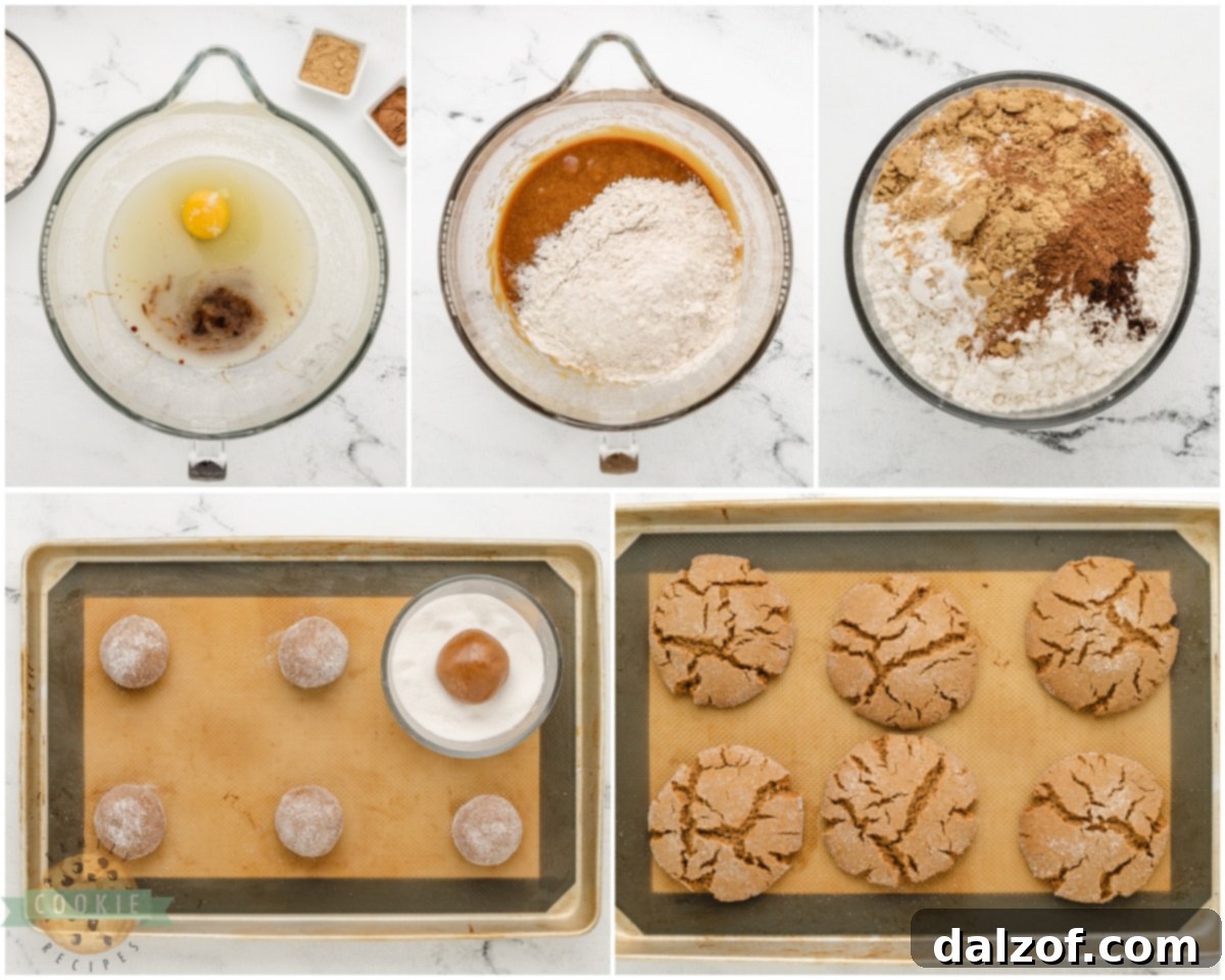 Magical Disneys Molasses Crackle Cookies 4 how to make Disney's molasses crackle cookies, showing cookie dough balls rolled in sugar