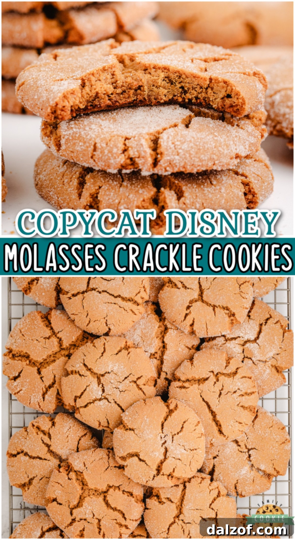 Magical Disneys Molasses Crackle Cookies 7 Molasses Crackle Cookies, a large Pinterest-optimized image showing a close-up of the delicious crackle and chewy texture, ideal for holiday baking