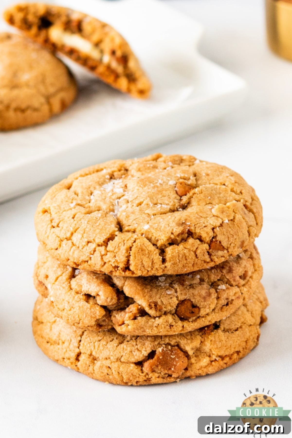 A stack of golden Biscoff Butter Cookies, topped with a delicate sprinkle of finishing salt.