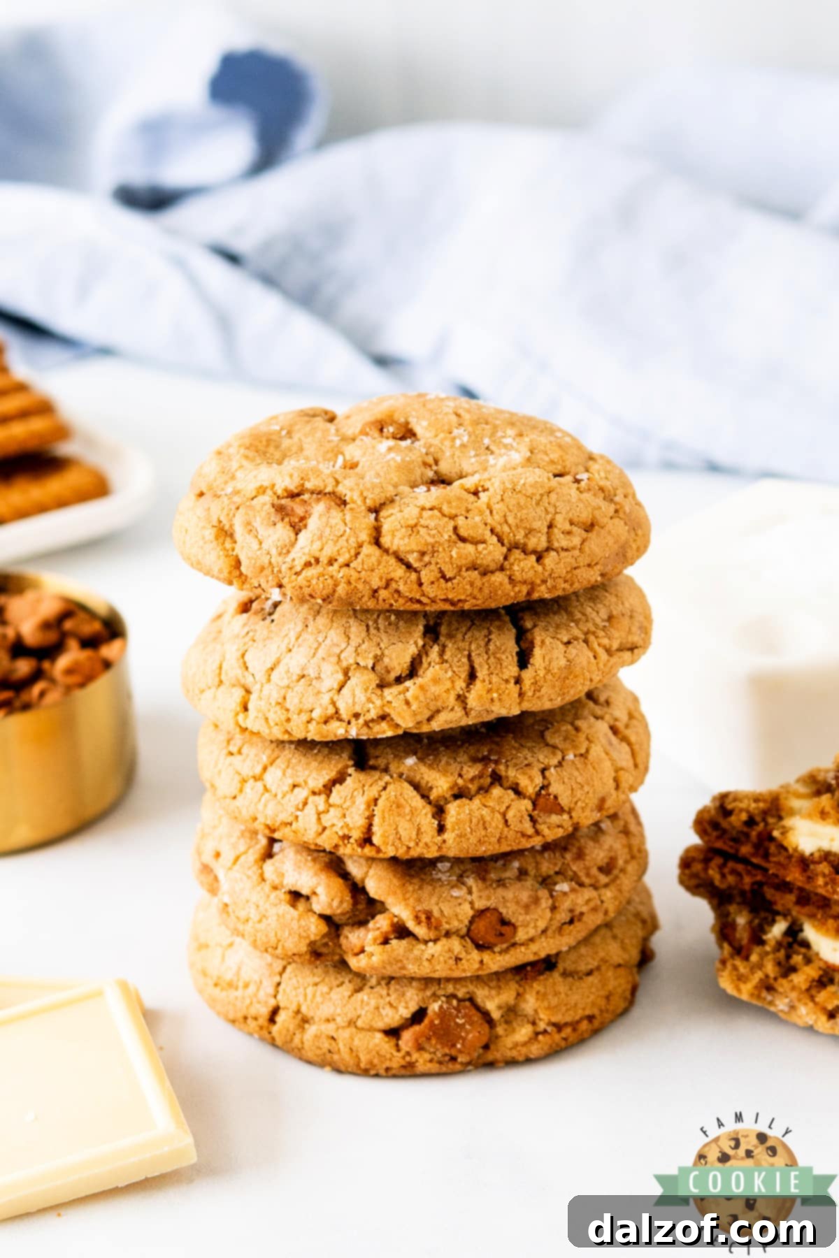 A plate of freshly baked Biscoff Butter Cookies, ready to be enjoyed.