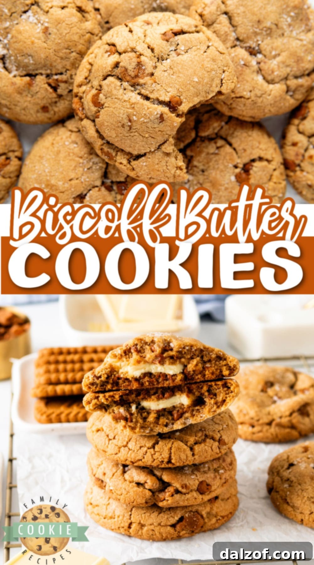 A stack of golden Biscoff Butter Cookies with a visible rich texture.
