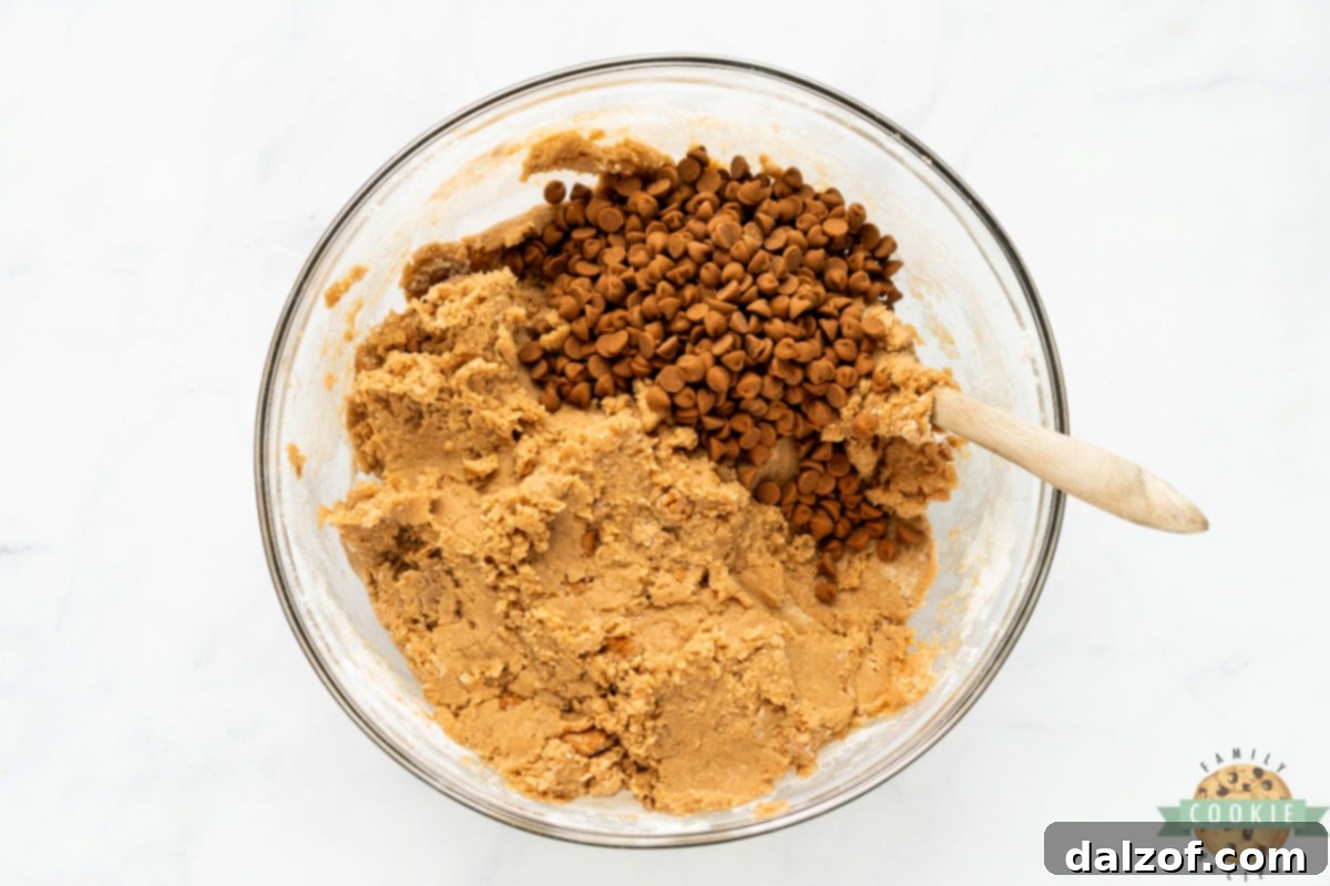 Crushed Biscoff cookies and cinnamon chips folded into cookie dough.
