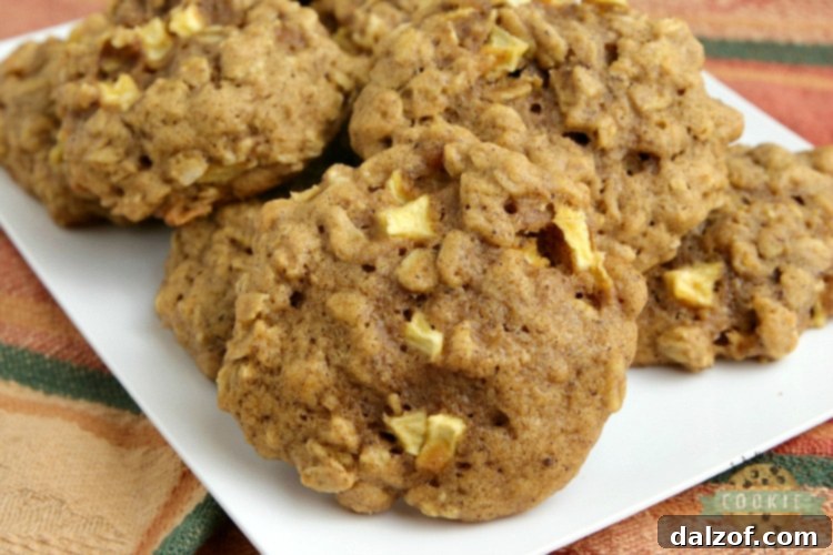 A plate of freshly baked Apple Pumpkin Oatmeal Cookies, thick, soft, and chewy, highlighting their rich fall flavors and appealing texture.