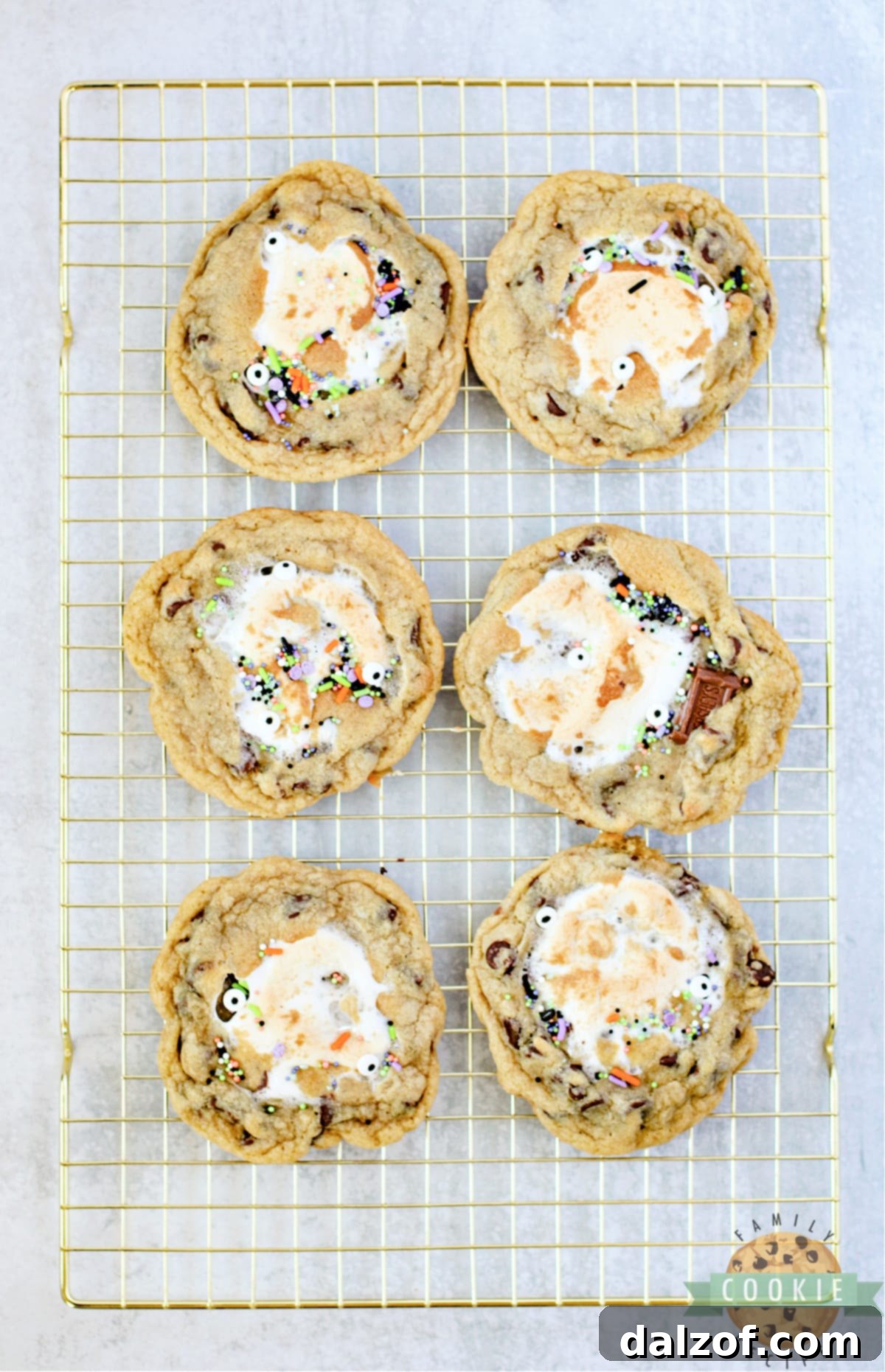 Baked chocolate chip cookies with marshmallows in the center.