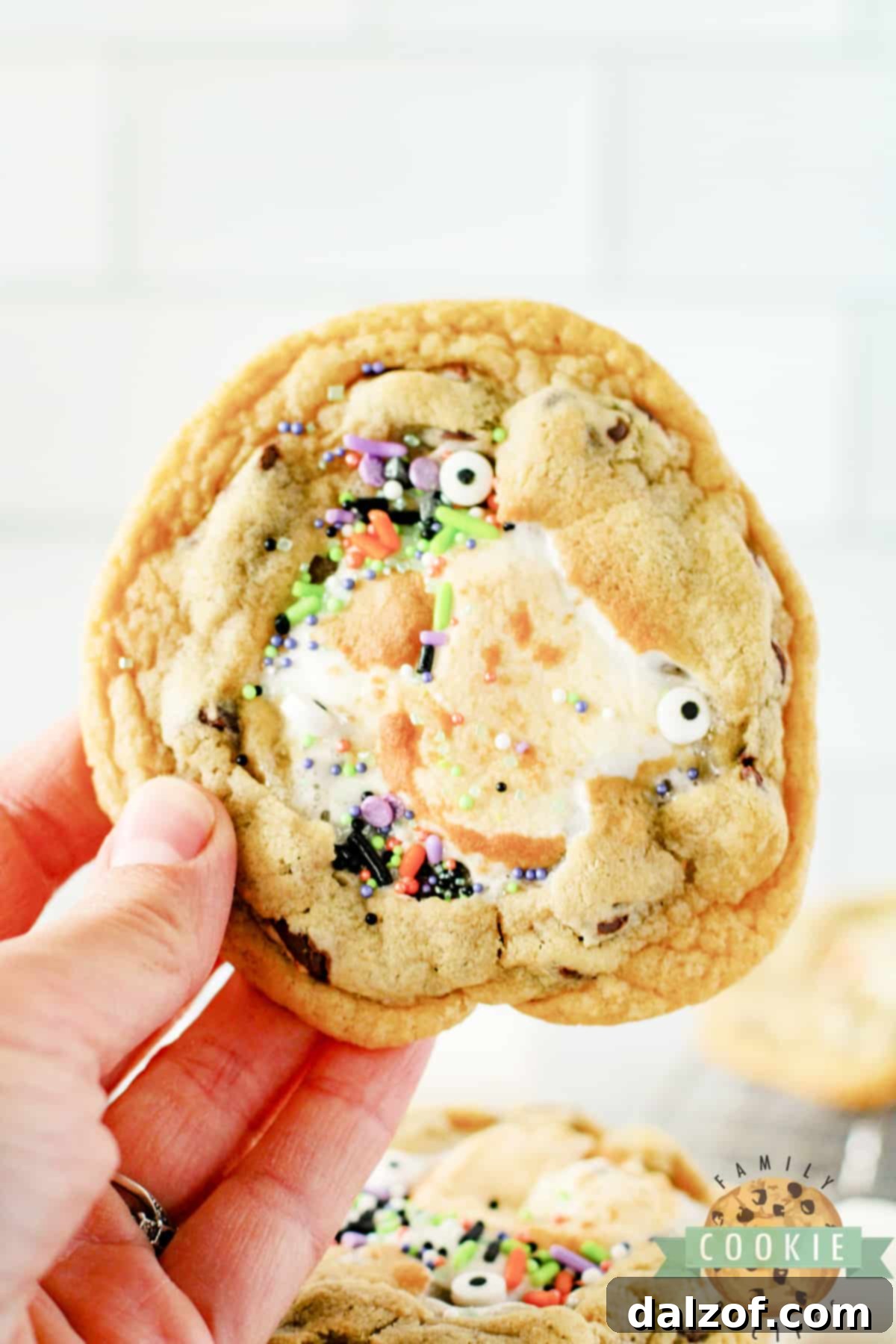 Monster Stuffed S'mores Cookies are chocolate chip cookies stuffed with Hershey bars and marshmallows. Add some monster eyes and festive sprinkles to make perfect Halloween cookies!