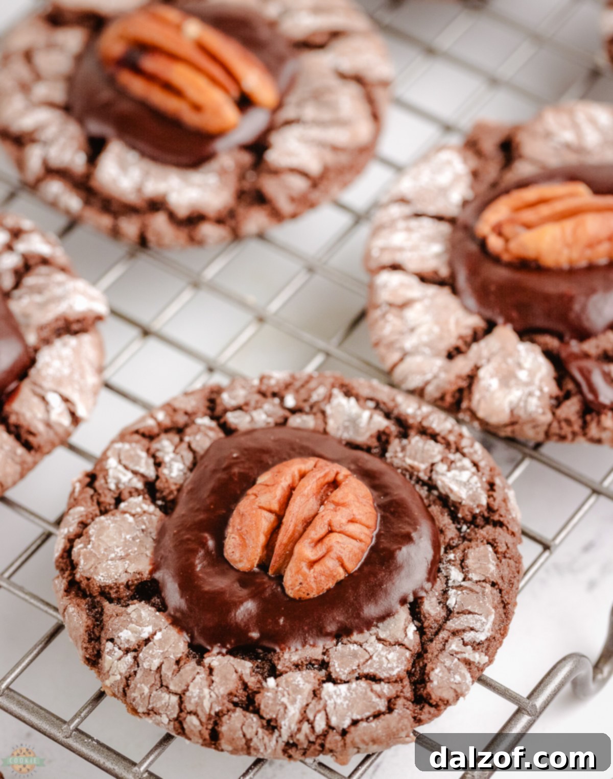 Chocolate pecan crinkle cookies cooling on a wire rack, showing their perfectly crinkled tops and glaze.