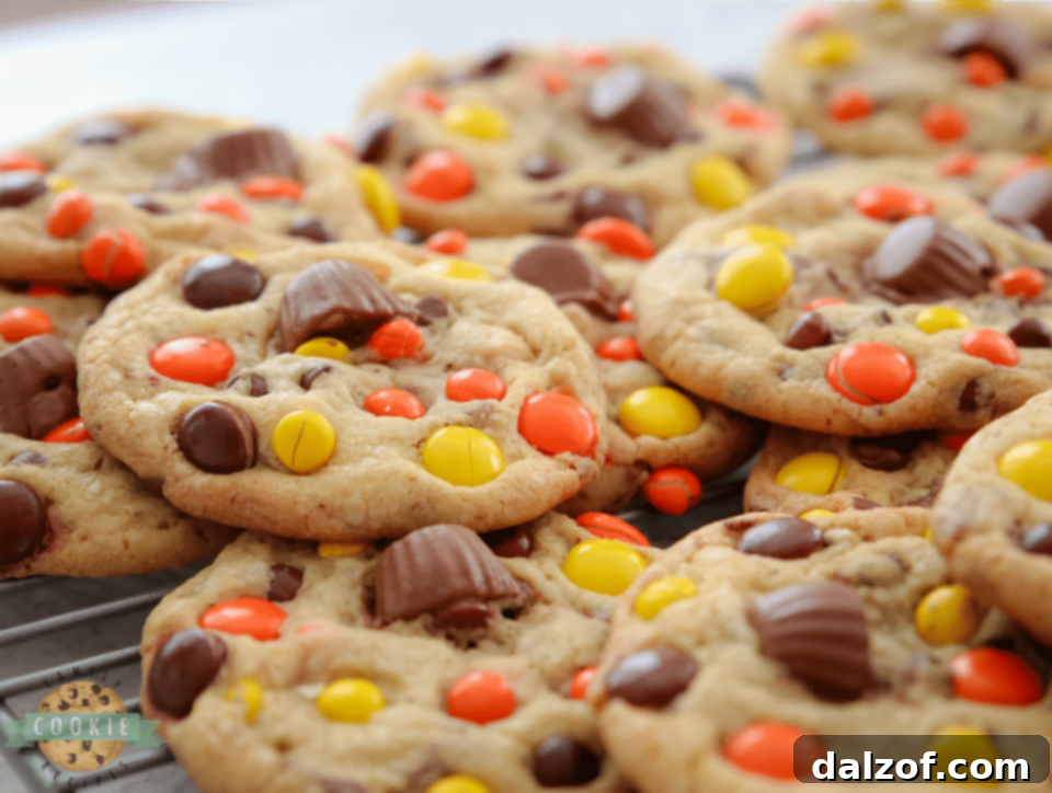 Reese's Pieces Cookies baked to perfection