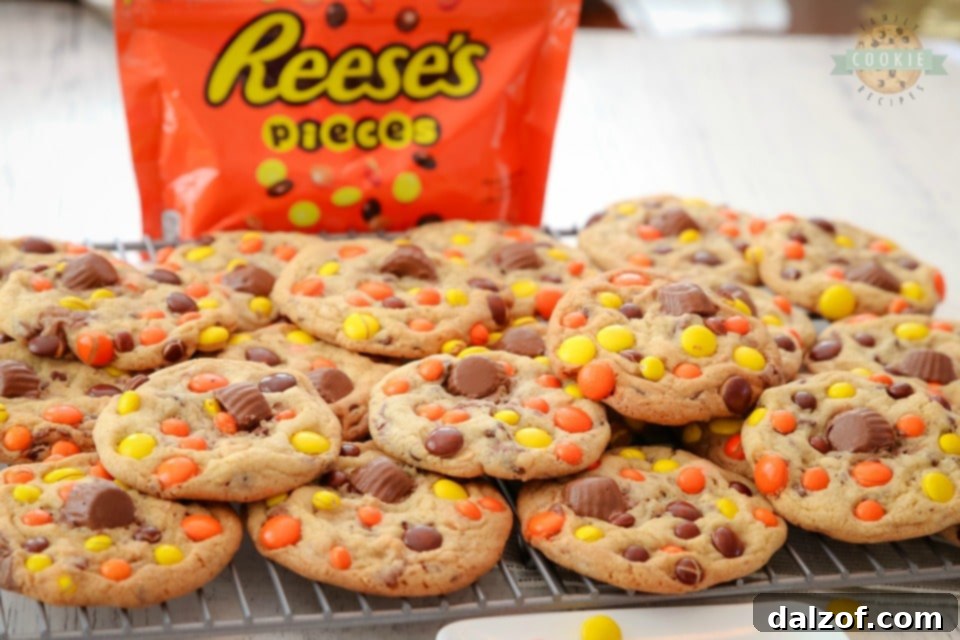 Loaded Reese's Cookies, close up on the candies