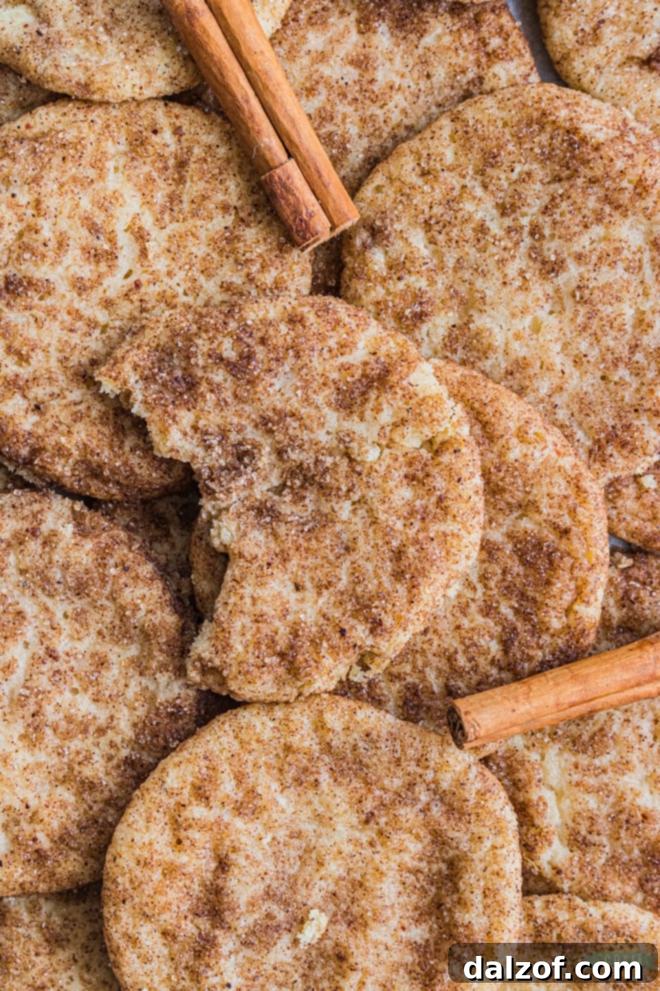Holiday Gingerbread Spiced Snickerdoodle Cookies