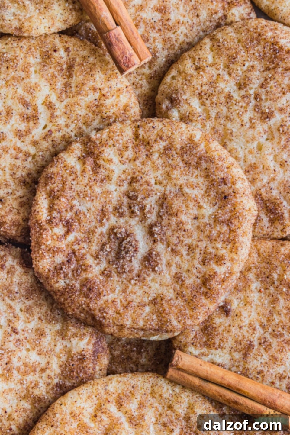 Holiday Gingerbread Spiced Snickerdoodle Cookies
