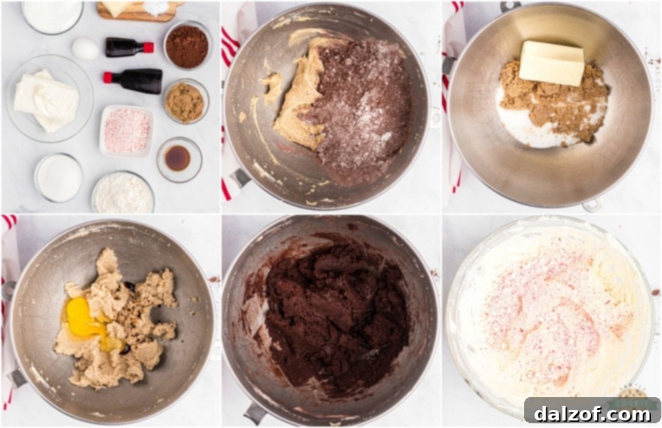 How to make Holiday Peppermint Chocolate Sandwich Cookies, step by step process