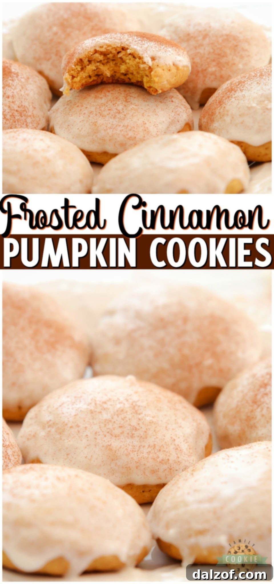 Iced Cinnamon Pumpkin Cookies are soft & pillowy pumpkin cookies topped with a simple vanilla icing and cinnamon. Lovely texture & flavor in these homemade pumpkin sugar cookies.
