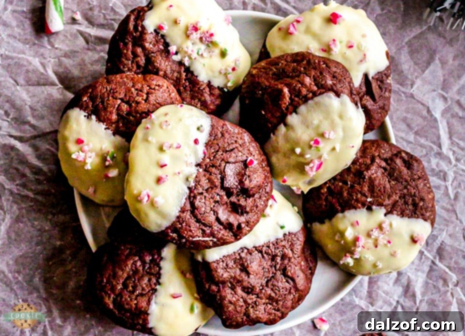 Double Chocolate Brownie Peppermint Cookie recipe