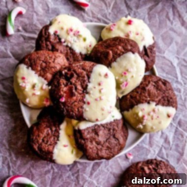 Double Chocolate Brownie Peppermint Cookie recipe