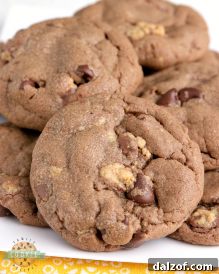Reese's Chocolate Peanut Butter Cookies are full of chocolate, peanut butter and Reese's Peanut Butter Cups. Peanut butter cookie recipe that is soft, chewy and absolutely perfect!