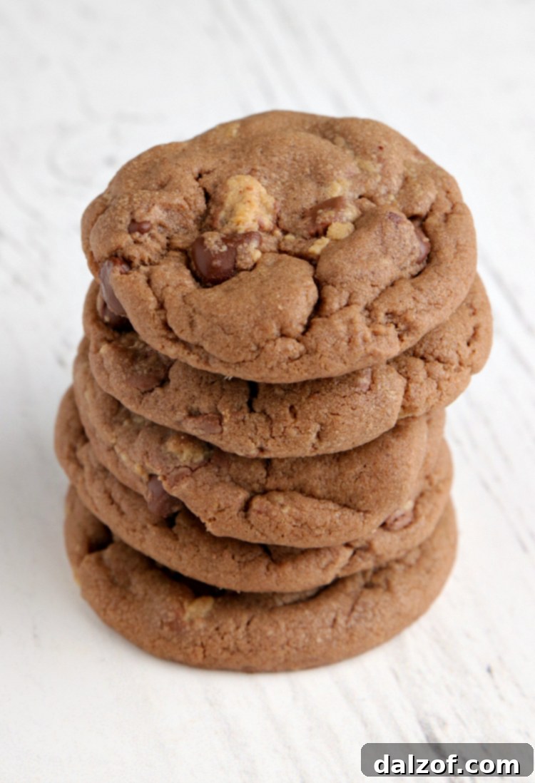 Chocolate cookies made with peanut butter and peanut butter cups
