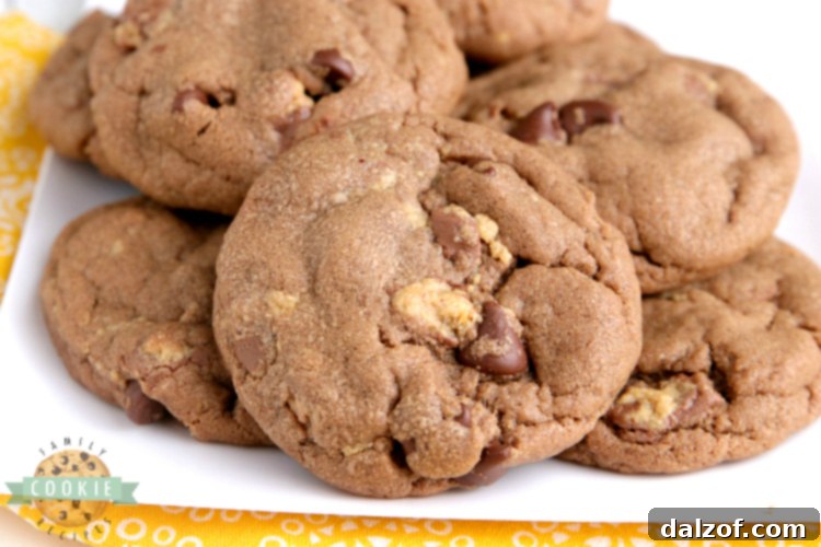Chocolate peanut butter cookies with peanut butter cups