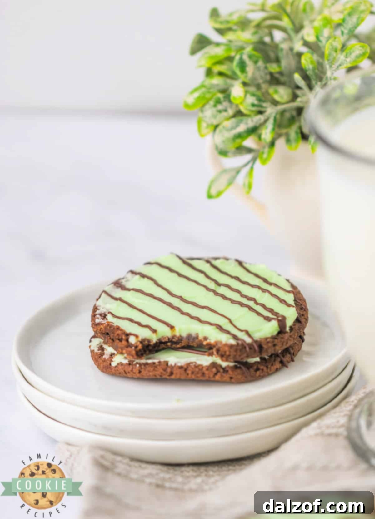 Close-up of baked chocolate cookies with luscious mint frosting and an artistic chocolate drizzle, ready to be enjoyed.