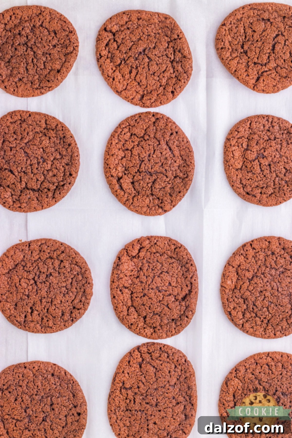 Freshly baked chocolate cookies on a parchment-lined baking sheet, still warm from the oven.