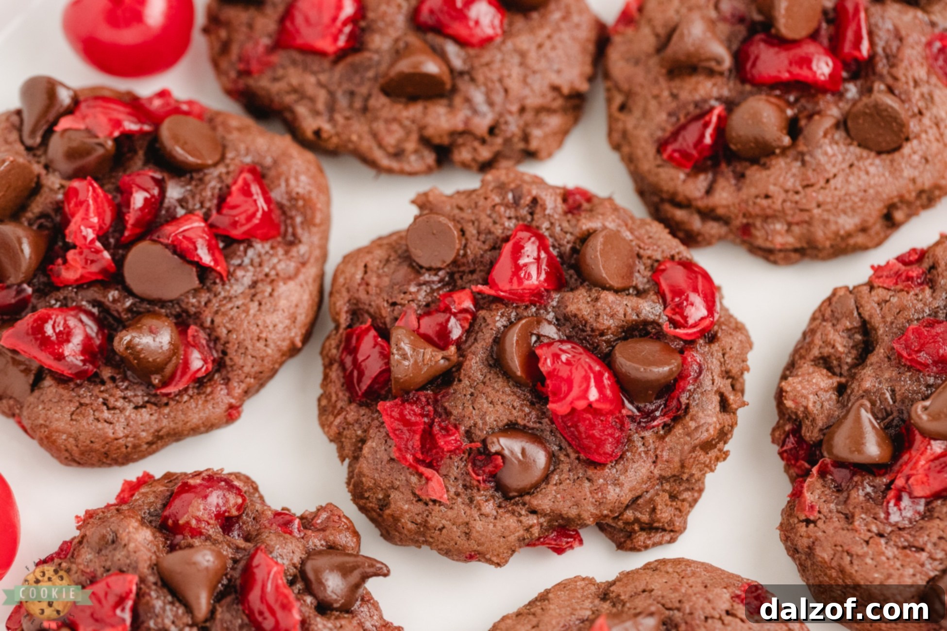 Close-up of baked cherry chocolate cookies on a white background, highlighting their rich color and delicious texture.