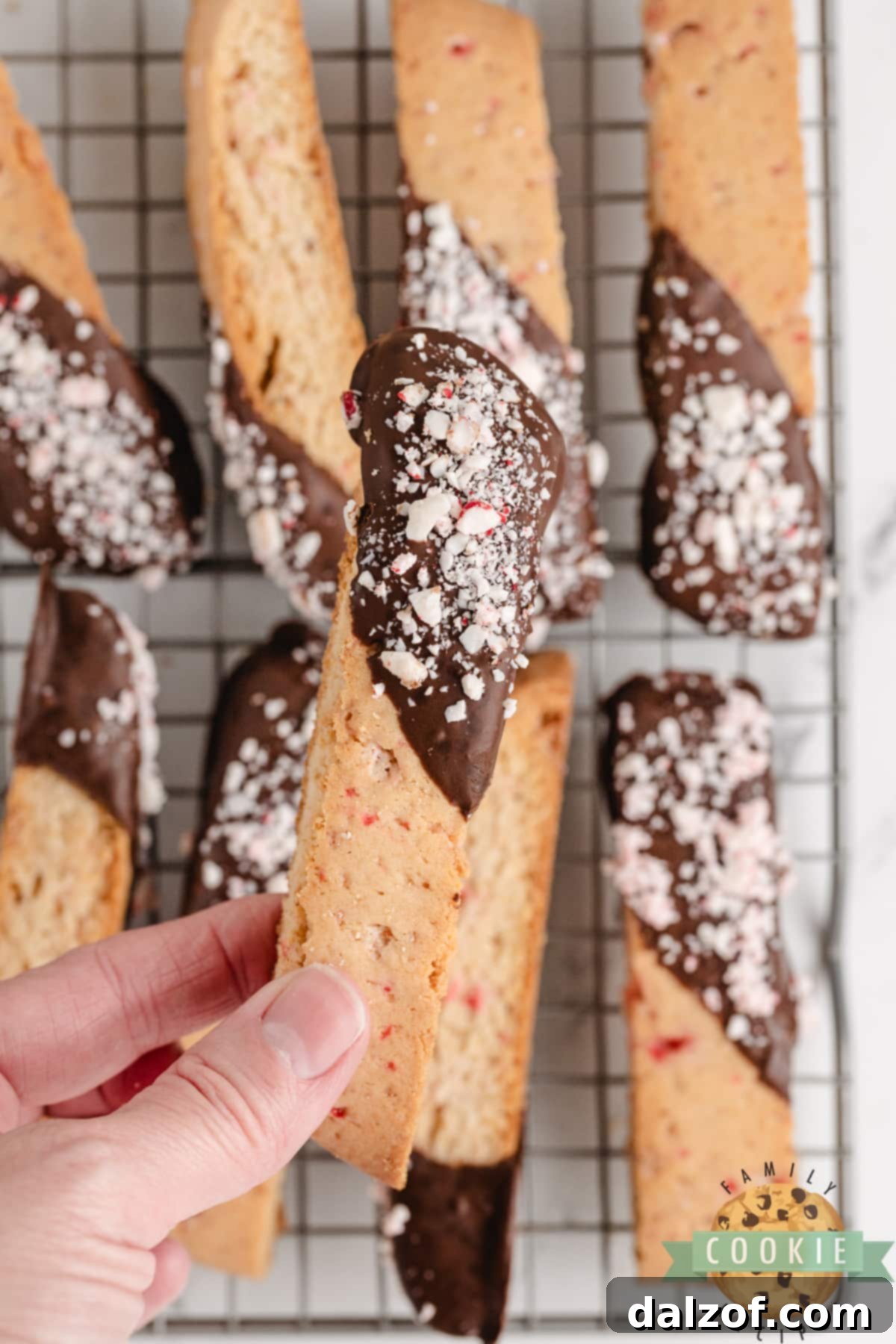Biscotti cookie recipe made with peppermint and chocolate. 