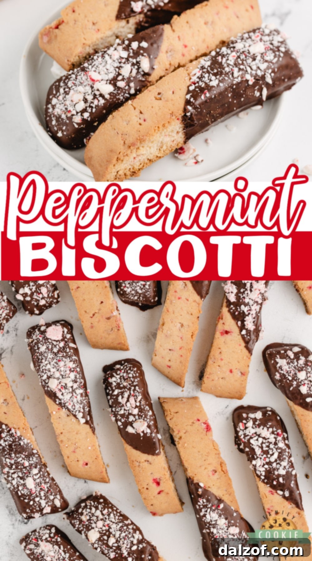 Peppermint Biscotti is made with peppermint extract and crushed peppermint candy. These biscotti cookies are decadent, pretty, and perfect for holiday cookie plates. 