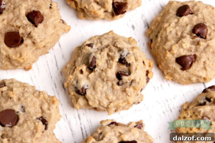 Chewy Applesauce Oat Chocolate Chip Delights 3 Delicious Applesauce Oatmeal Chocolate Chip Cookies cooling on a wire rack, ready to be enjoyed.
