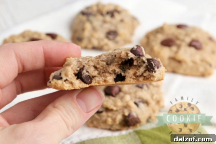 Chewy Applesauce Oat Chocolate Chip Delights 5 A close-up of a single Applesauce Oatmeal Chocolate Chip Cookie, showing its delicious texture and melted chocolate.