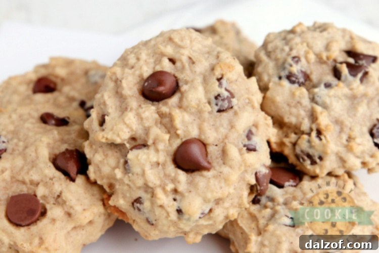 Chewy Applesauce Oat Chocolate Chip Delights 6 Applesauce cookies with oats and chocolate chips stacked on a rustic wooden surface.