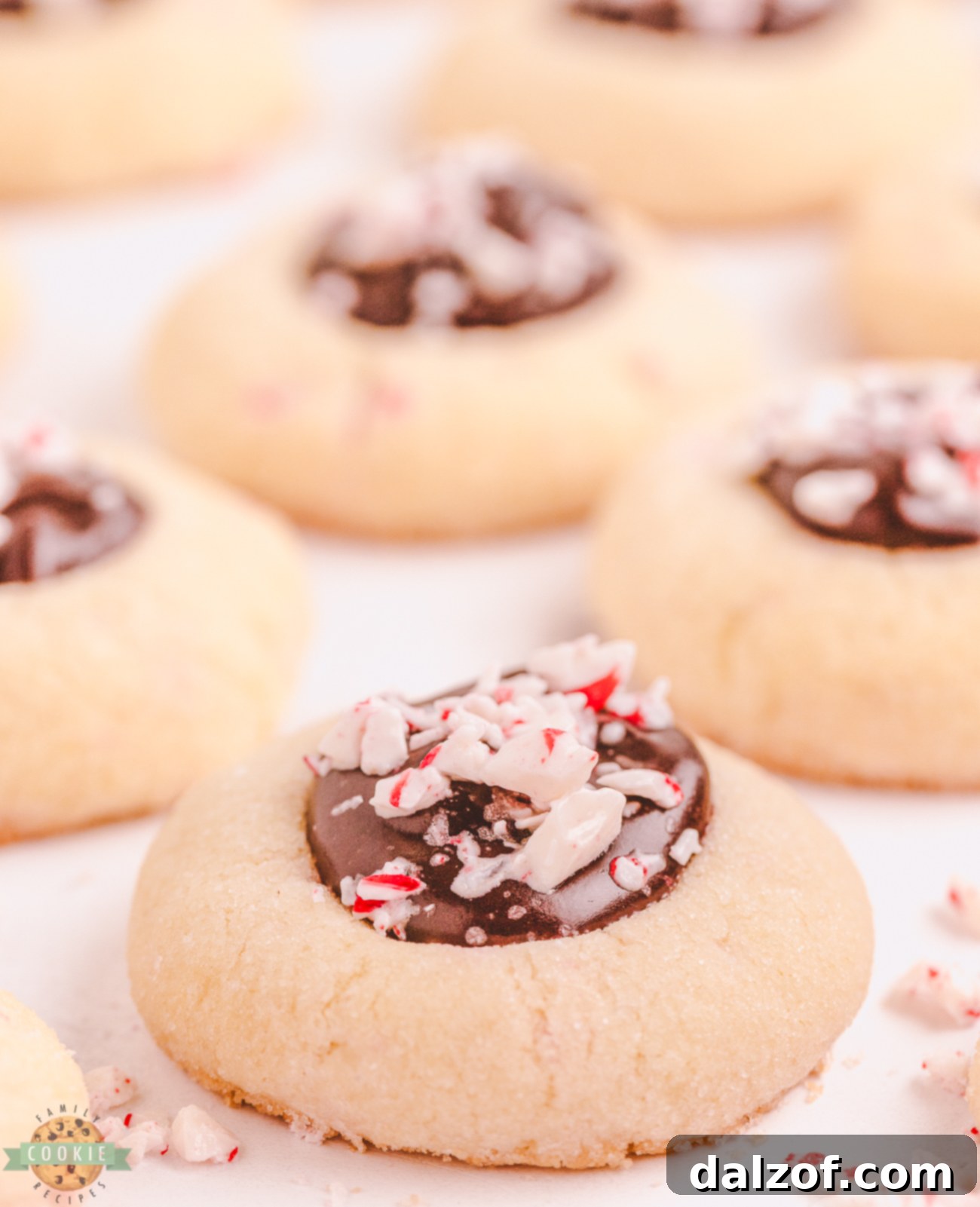 Delightfully festive Peppermint Chocolate Thumbprint Cookies with crushed candy canes and chocolate fudge