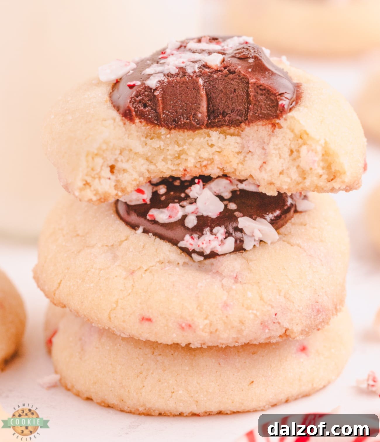 Close-up of a chocolate peppermint cookie with a bite taken out, showcasing the smooth fudge and candy cane pieces.