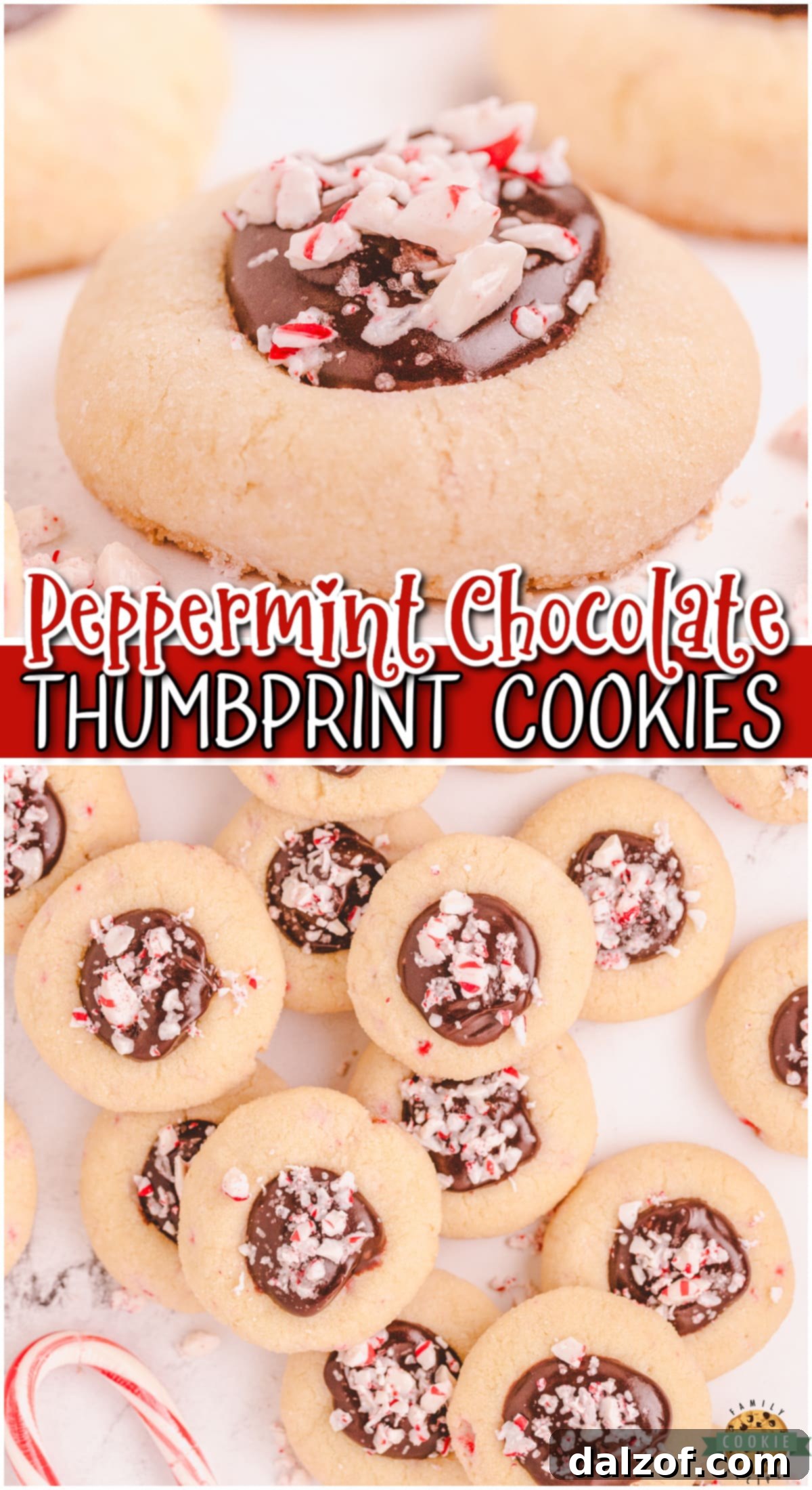Peppermint Chocolate Thumbprint Cookies are buttery cookies dotted with crushed candy canes & topped with a pool of chocolate fudge for delightfully festive thumbprints!