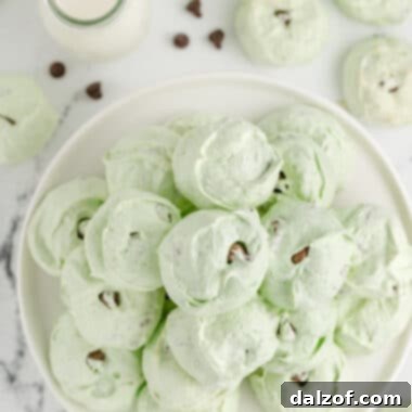 Mint Chocolate Chip Meringue Cookies
