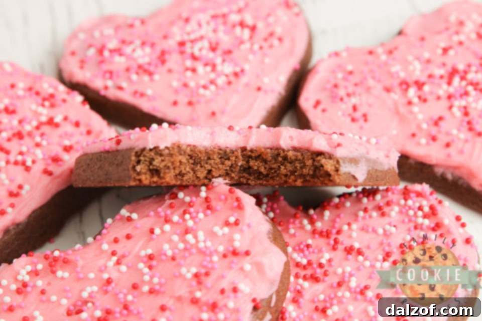Chocolate sugar cookies decorated with sprinkles