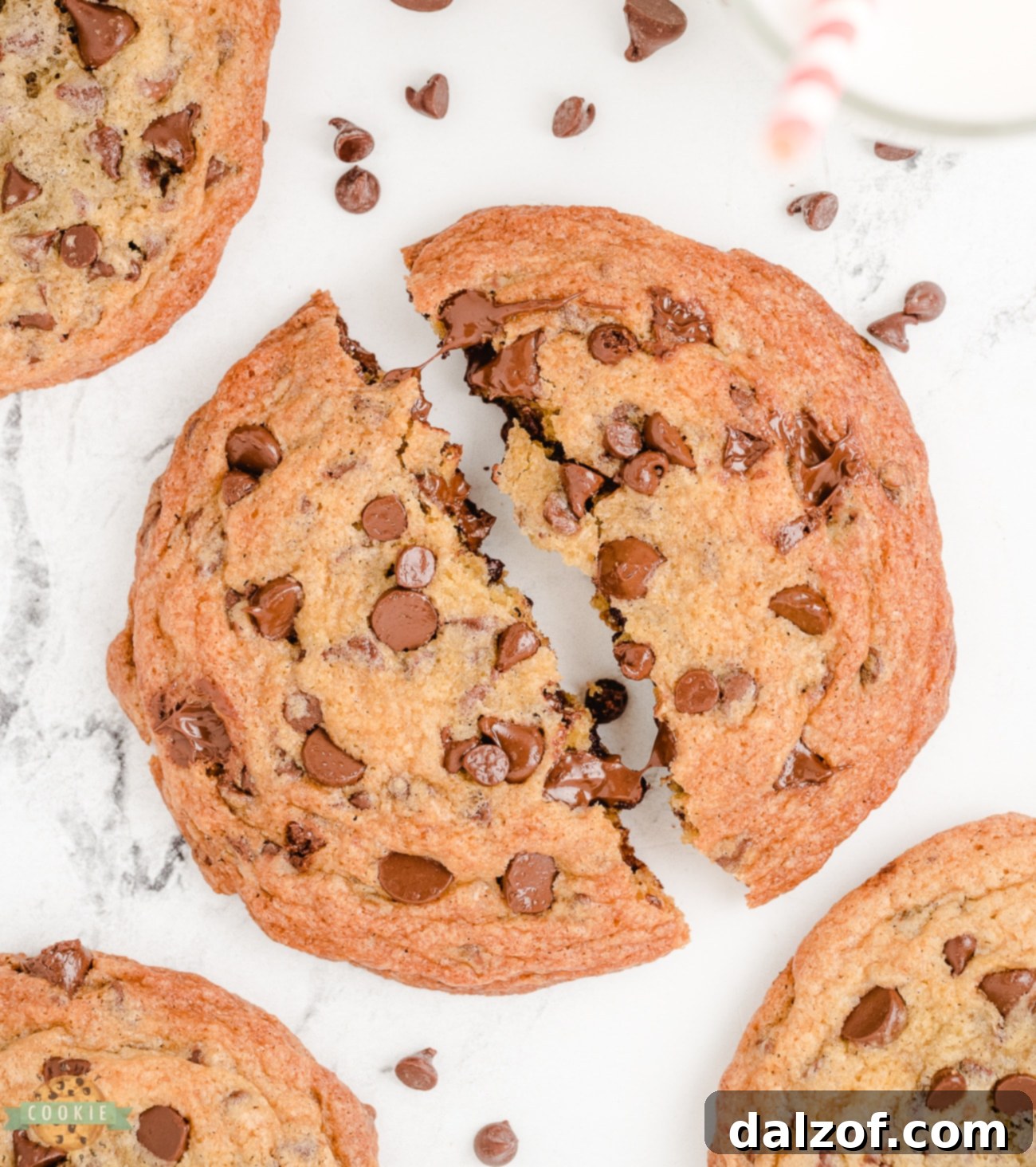 Giant Chocolate Chip Cookies 3 jumbo chocolate chip cookies broken in half with melting chocolate
