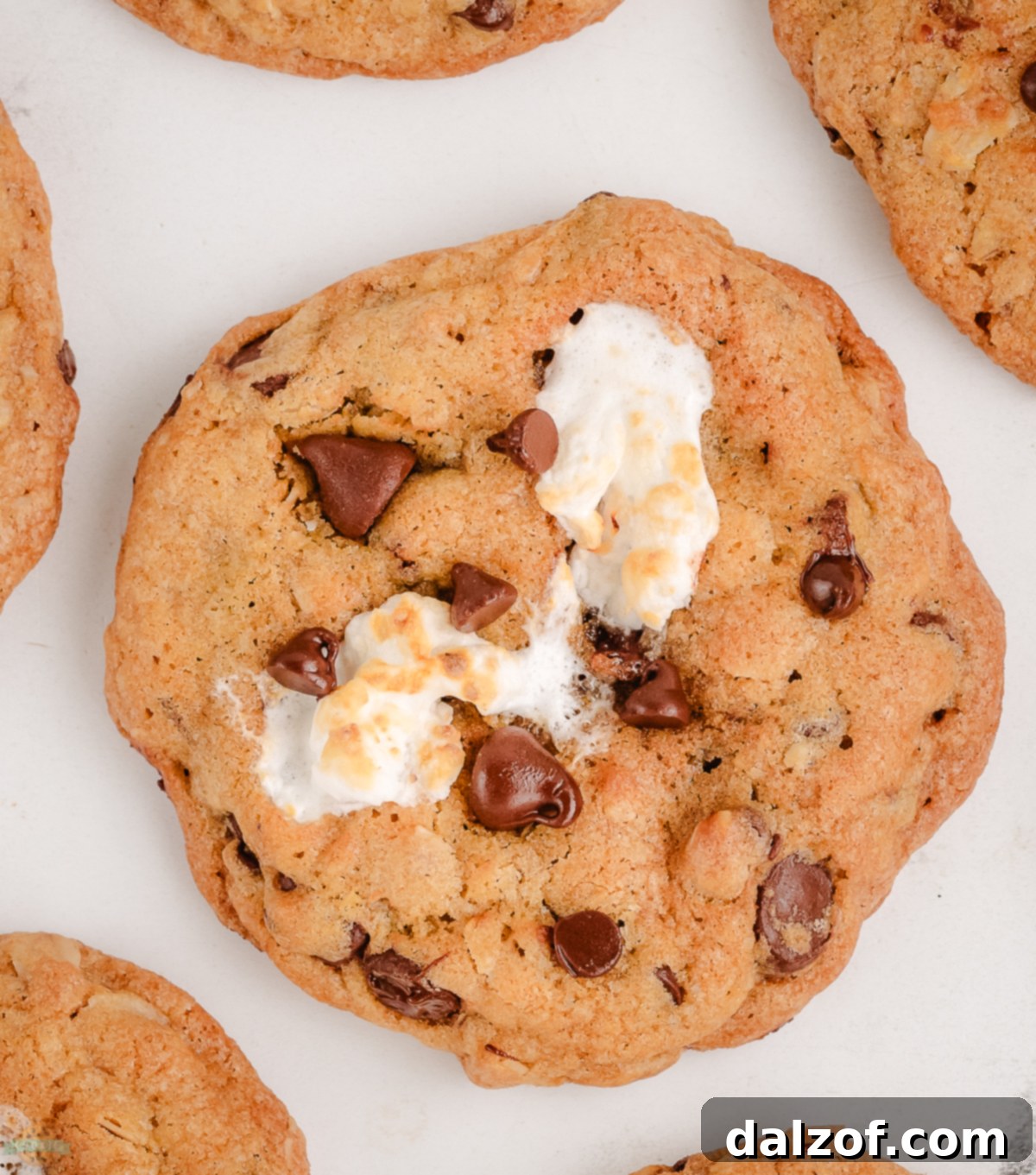 Delicious Oatmeal Marshmallow Chocolate Chip Cookies