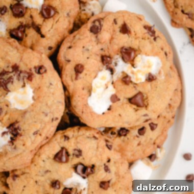 Plateful of Oatmeal Marshmallow Chocolate Chip Cookies