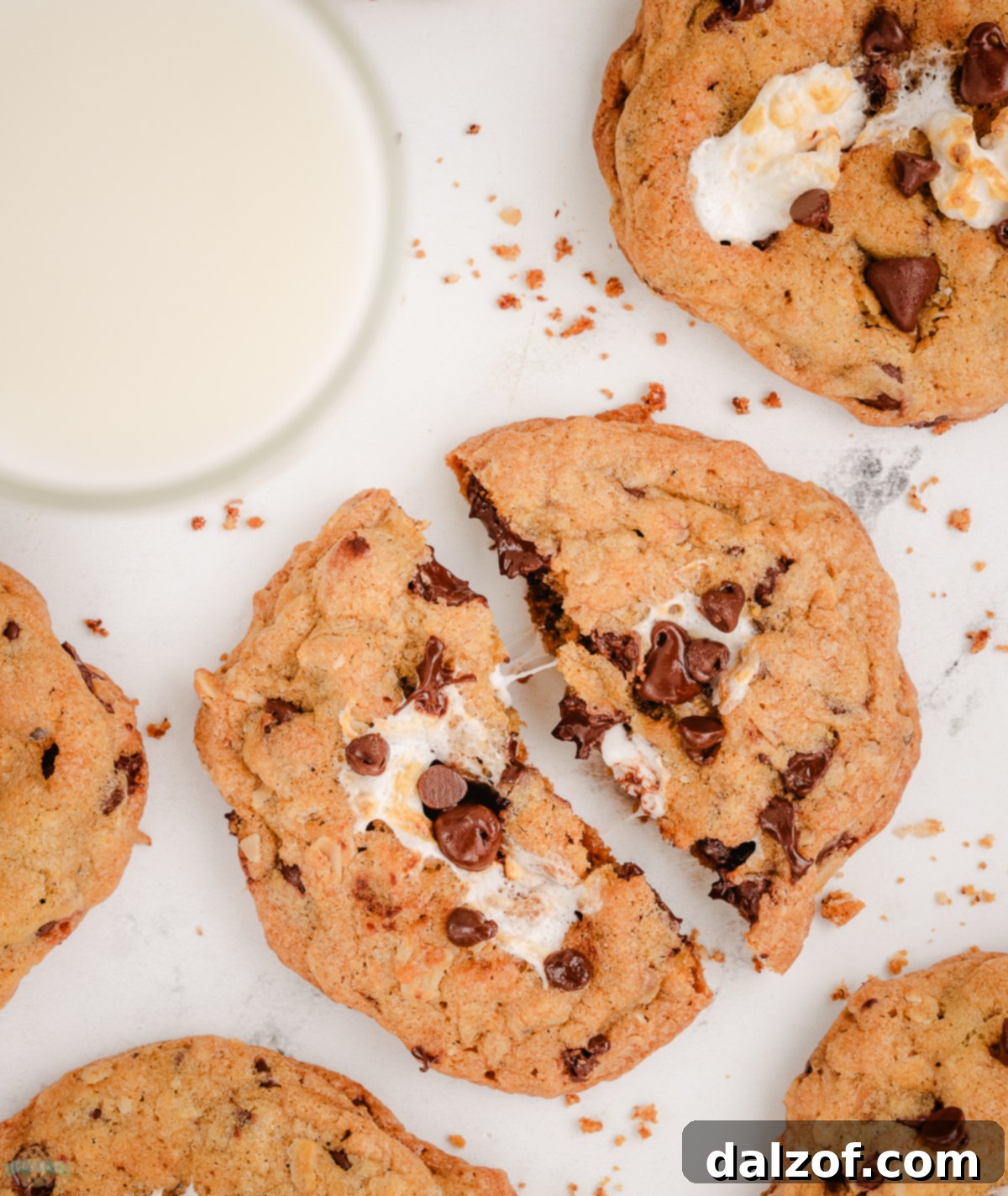 Marshmallow stuffed oatmeal chocolate chip cookie broken in half, revealing the perfectly melted marshmallow inside
