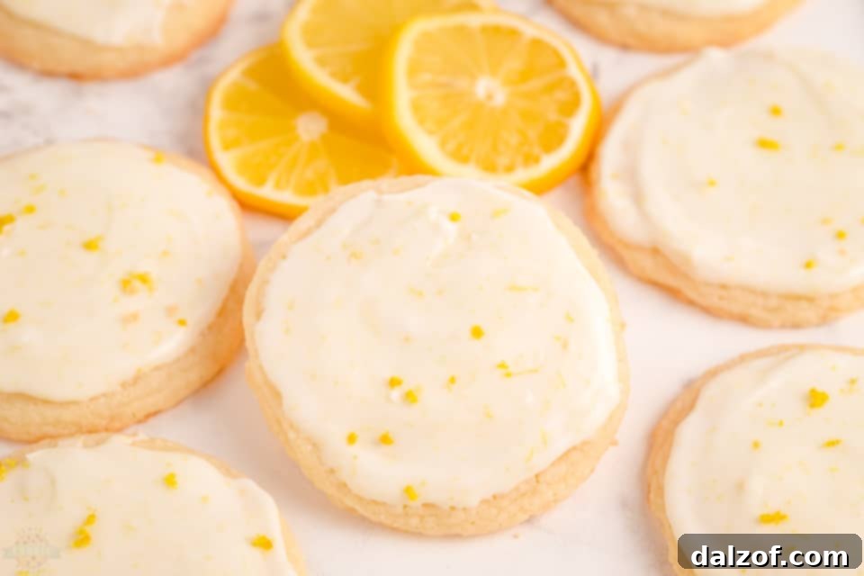 How to make soft and tender Lemon Meltaway Cookies, step-by-step process