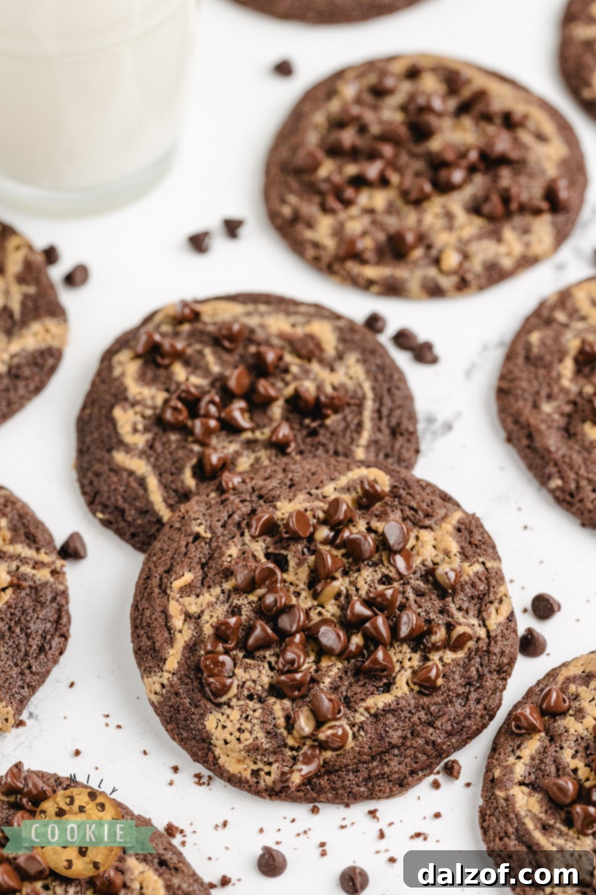 Chocolate Peanut Butter Swirl Cookies are soft, chewy, and delicious! These rich chocolate cookies have a swirl of peanut butter and a sprinkling of mini chocolate chips on top.