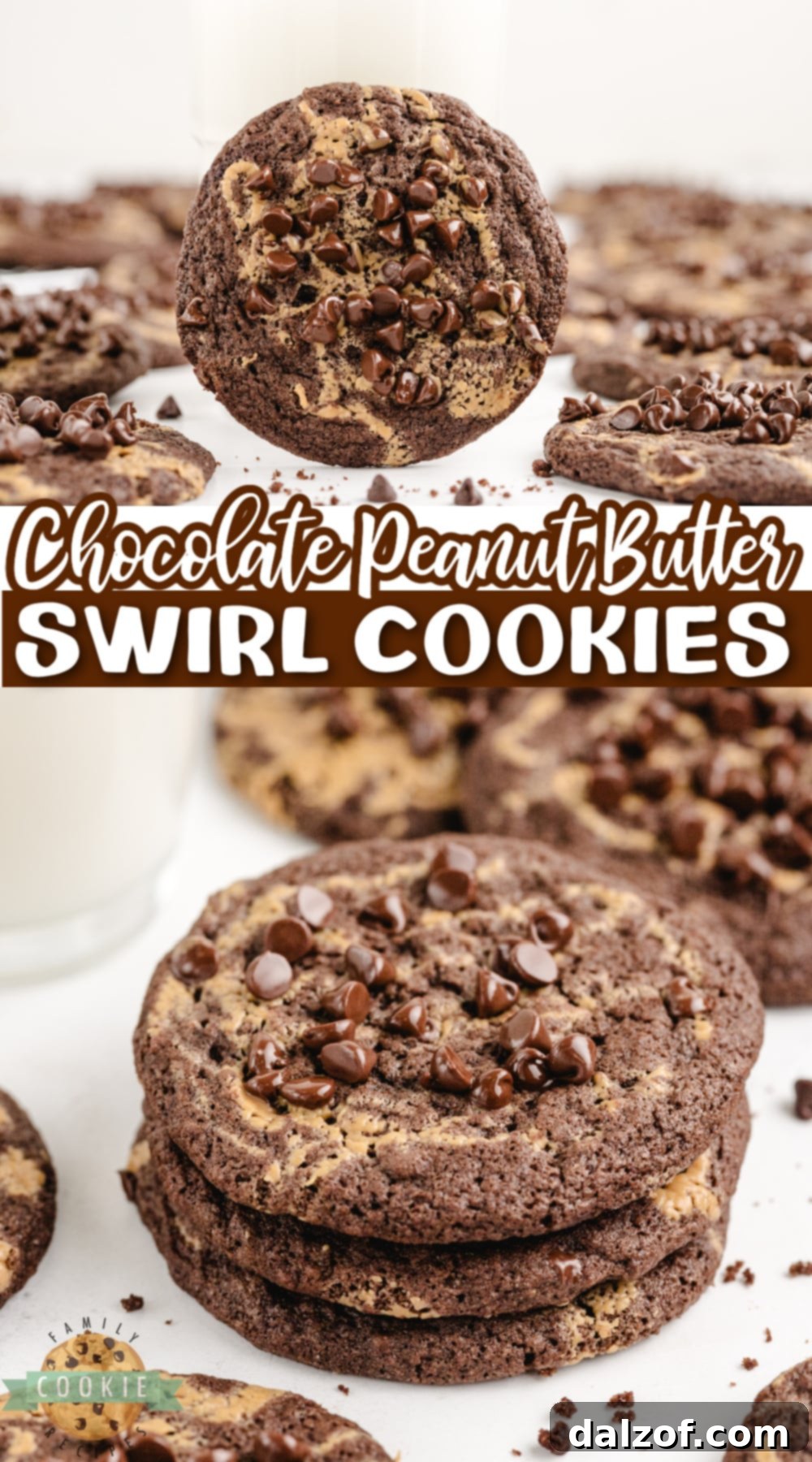 Chocolate Peanut Butter Swirl Cookies are soft, chewy, and delicious! These rich chocolate cookies have a swirl of peanut butter and a sprinkling of mini chocolate chips on top.