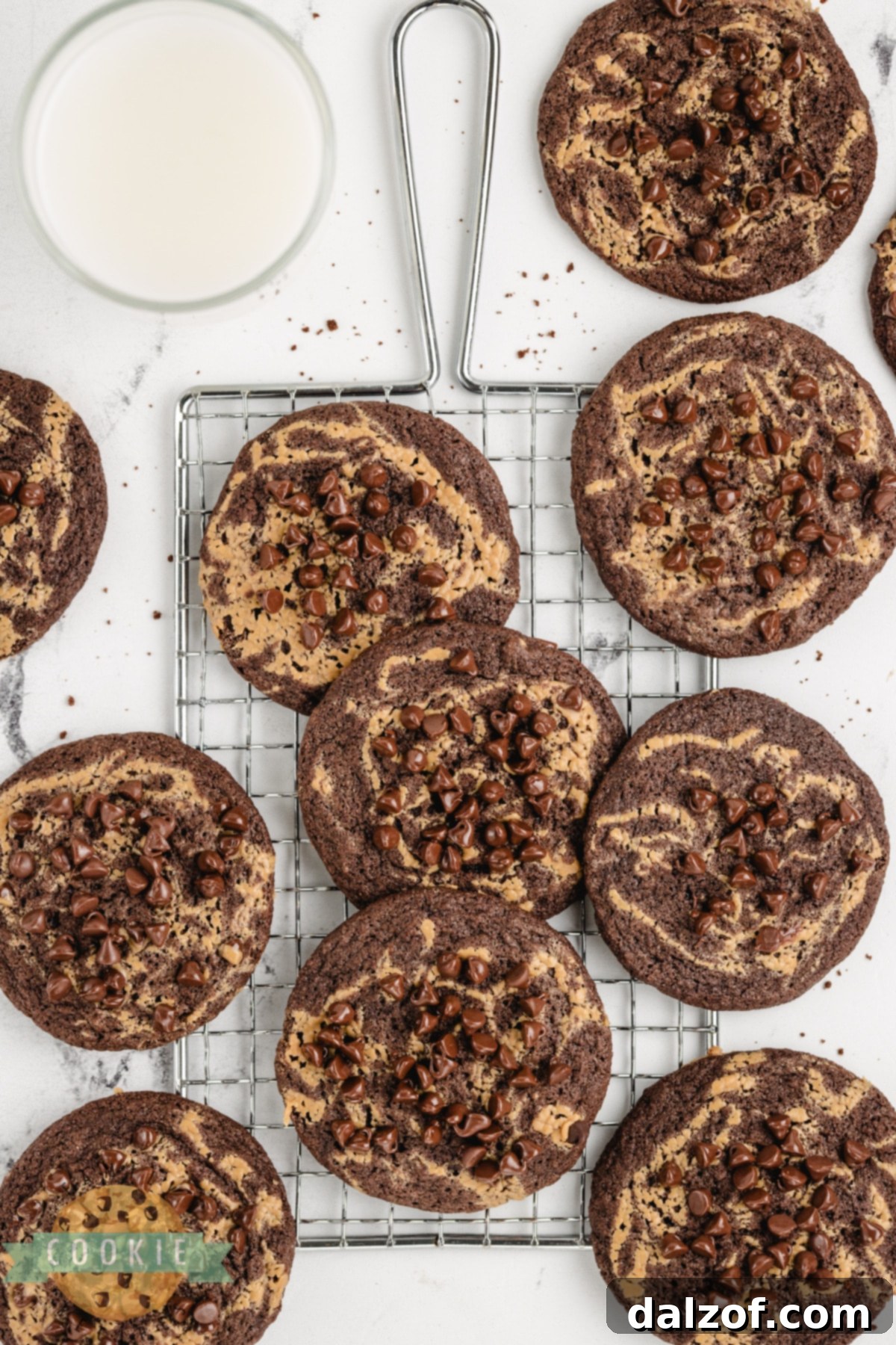 Chocolate cookies with peanut butter and mini chocolate chips.
