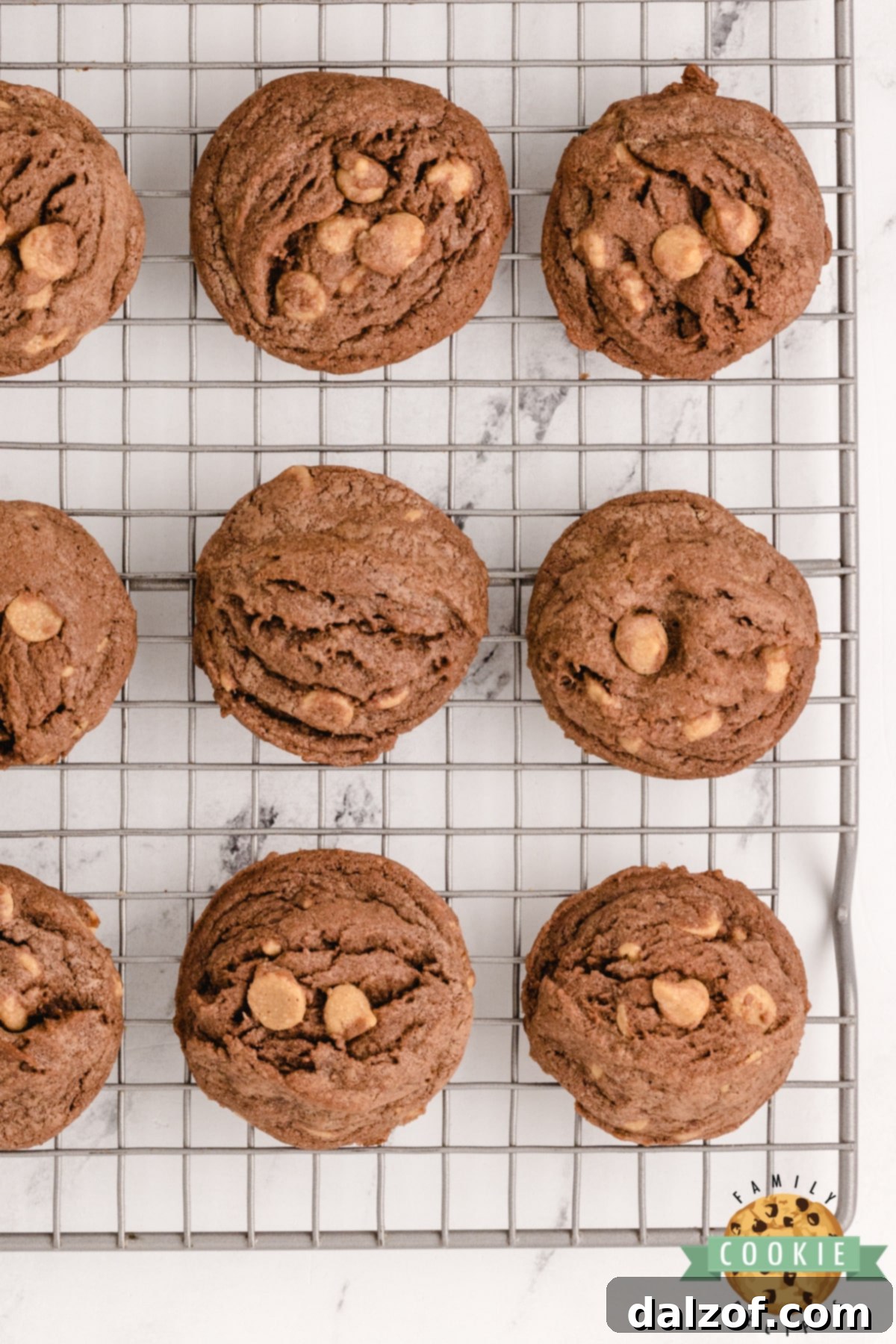 Chocolate pudding cookies with peanut butter chips