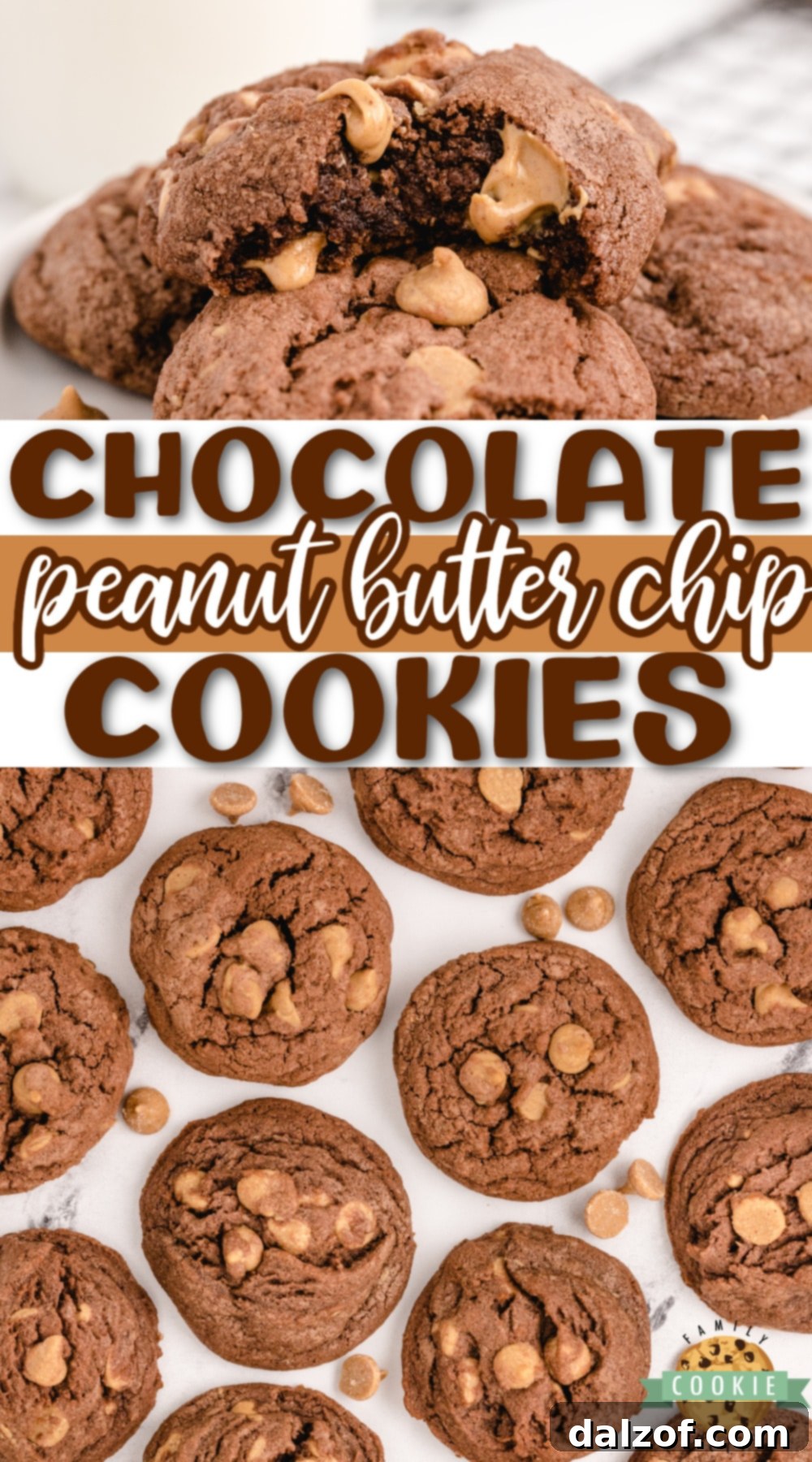Chocolate Peanut Butter Chip Cookies made with chocolate pudding mix for a soft and chewy cookie that is loaded with chocolate flavor and Reese's peanut butter chips.