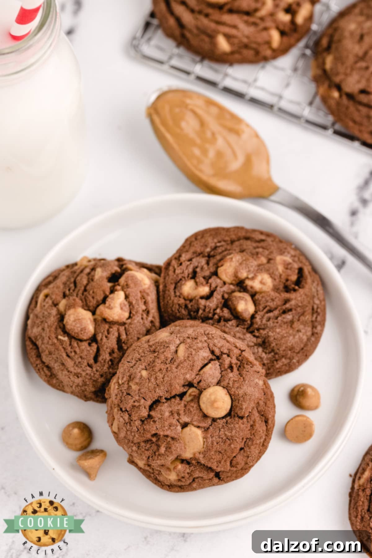 Peanut Butter Chip Chocolate Cookies